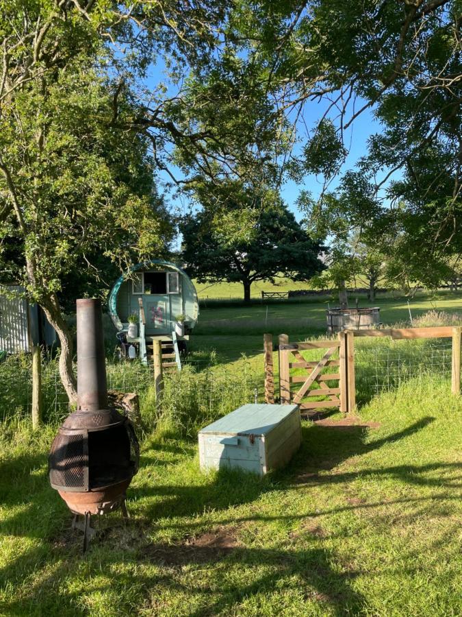 Luxury tent Langtonbury Appleby-in-Westmorland